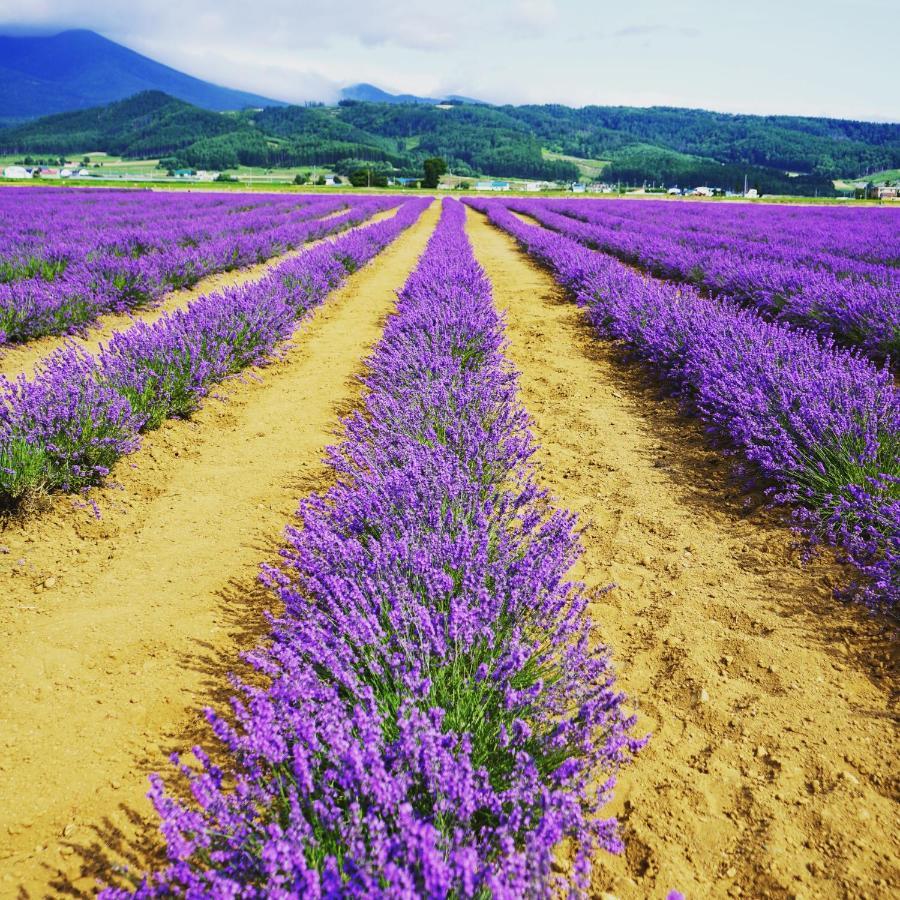 Furano Natulux Hotel Dış mekan fotoğraf