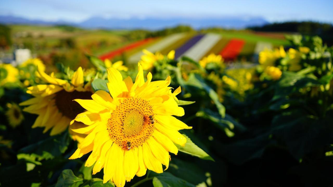 Furano Natulux Hotel Dış mekan fotoğraf